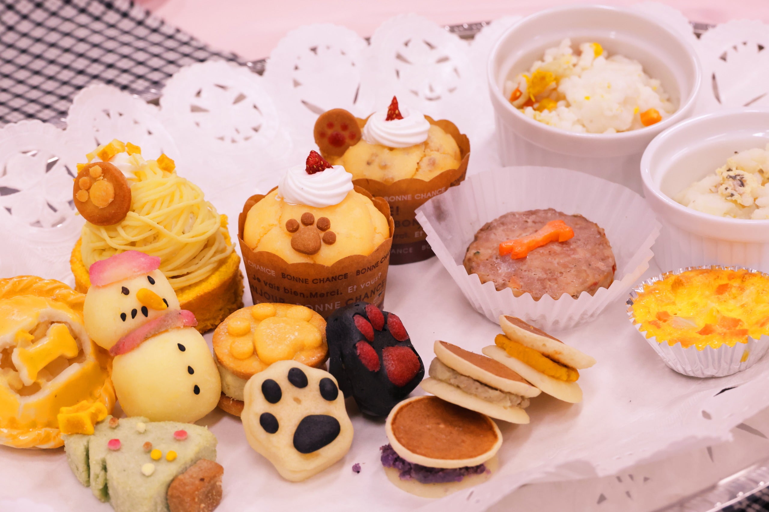 共同開発で制作されたペット向けおやつの試作品