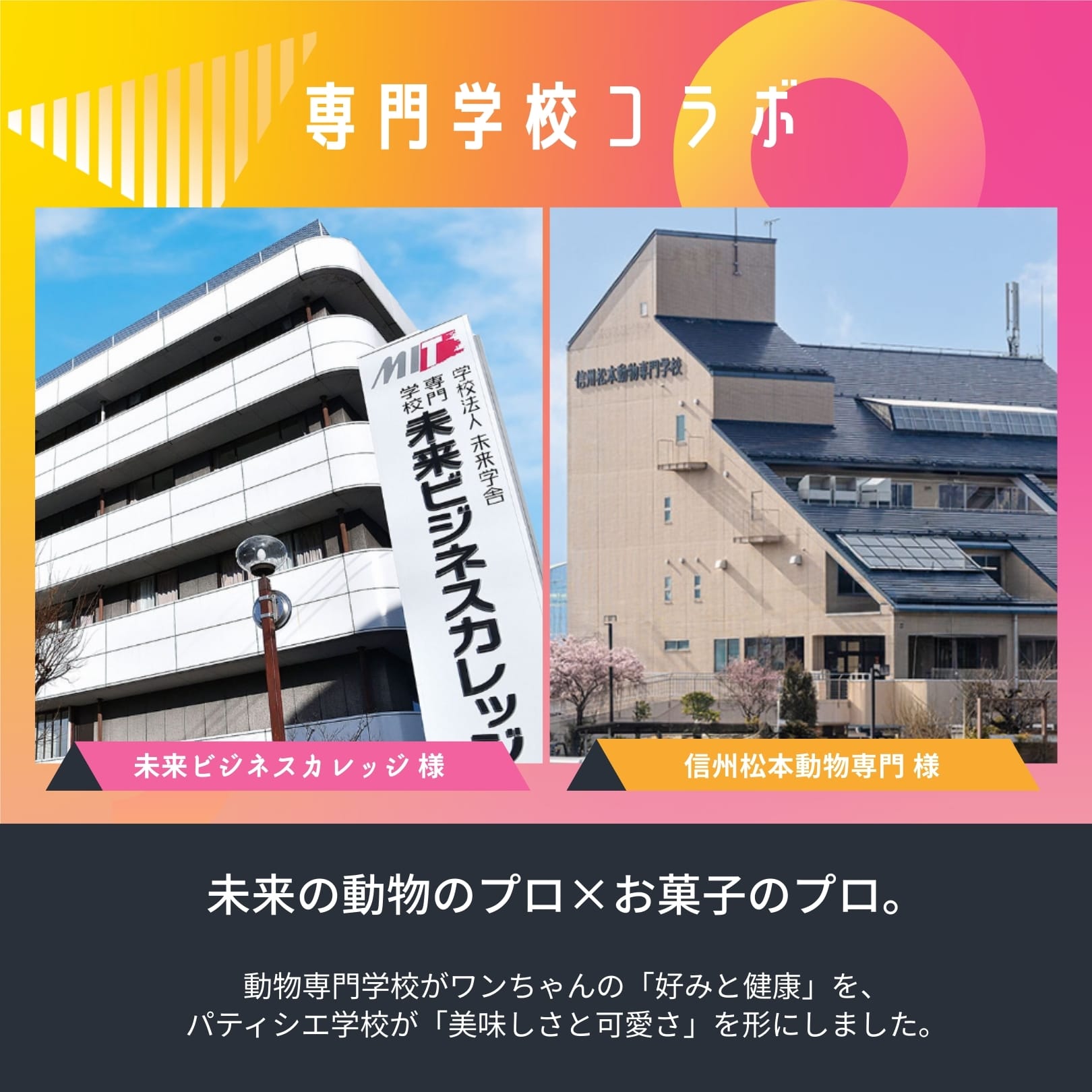 信州松本動物専門学校と未来ビジネスカレッジの外観